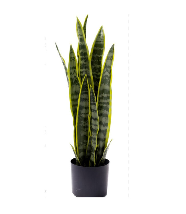 Green Sansevieria artificial plant in pot | Diameter 16 centimetres | Height 68 centimetres | Available to order individually