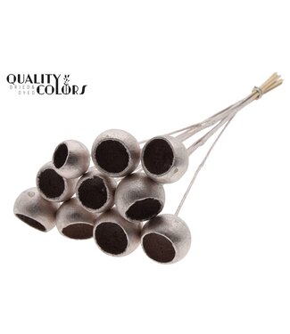 QC Bell Cup on stem Champagne | Per 50 stuks