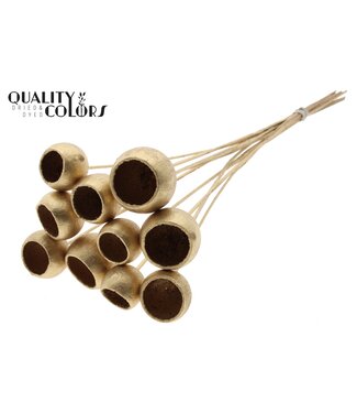 QC Bell Cup on stem Antique Gold | Per 50 stuks