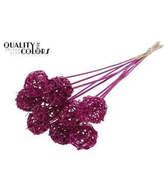 QC Bruce Ball 5cm on stem Lilac | Per 50 stuks