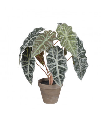 4A Plante artificielle Oreille d'Éléphant verte avec pot | Plante artificielle Alocasia | Dimensions 13 x 36 x 44 centimètres | Par lot de 6 pièces