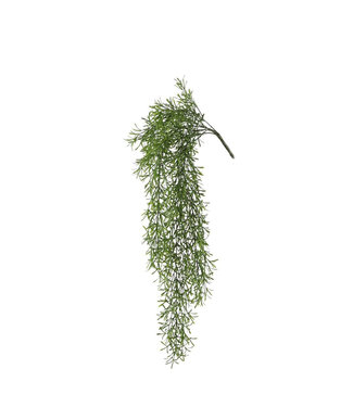 4A Kunstplanten Asparagus 81cm ( x 1 )