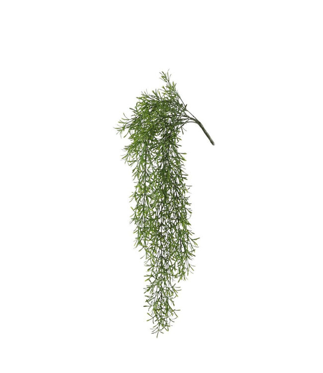 Green asparagus artificial plant | Height 81 centimetres | Available for purchase individually