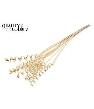 QC Cane Spring on stem Antique Gold | Per 50 stuks