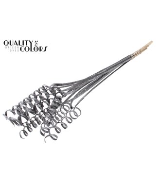 QC Cane Spring on stem Metallic Graphite ( x 50 )