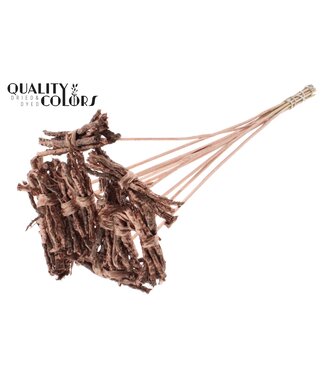 QC Coco Rose Posy on stem Copper | Per 50 stuks