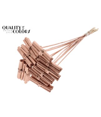 QC Jute Stick Posy on stem Copper ( x 50 )