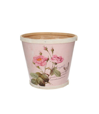 4A Hout Roses pot d17*15cm ( x 10 )