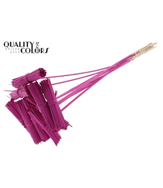 QC Kore Posy on stem Covered Cerise | Per 50 stuks
