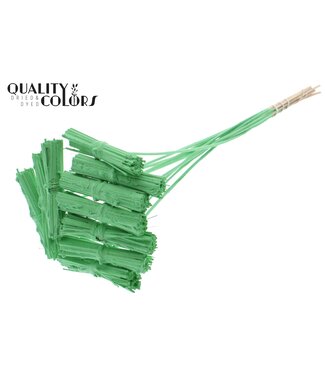 QC Kore Posy on stem Covered Mint Green ( x 50 )