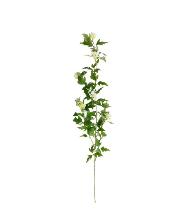 Kunstbloemen Eucalyptus 90cm ( x 6 )
