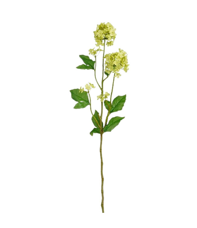 Light Green Gelderland Rose or Snowball Artificial Flower | Viburnum Opulus Artificial Flowers | Length 71 centimetres | Available to order per 12 pieces