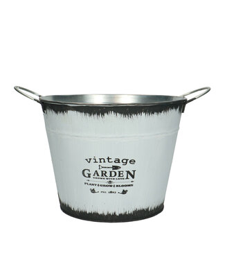 4A Zink Vince pot d21*16cm | Per 10 stuks