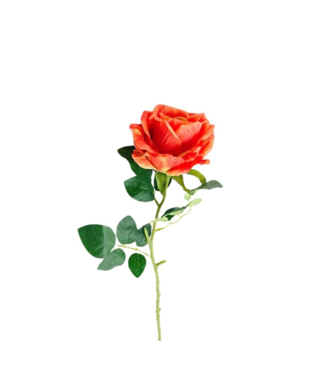 Kunstbloemen Rosa 65cm ( x 6 )