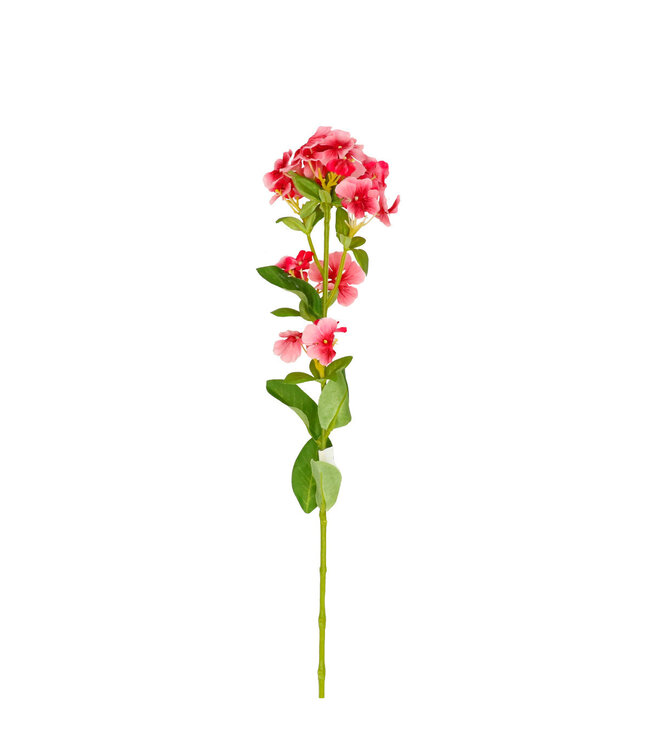 Pink Flame Flower artificial flower | Phlox artificial flowers | Length 71 centimetres | Available to order per 6 pieces