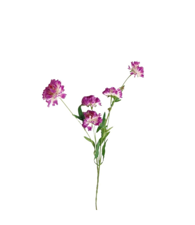 Kunstbloemen Centaurea 65cm ( x 10 )
