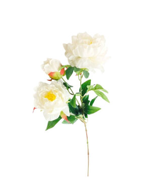 4A Kunstbloemen Paeonia 65cm ( x 6 )