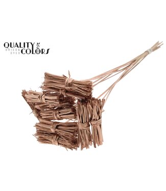 QC White Lady posy on stem Copper | Per 50 stuks