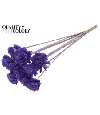 QC Shola Karnish Flower 6cm on stem Milka ( x 50 )