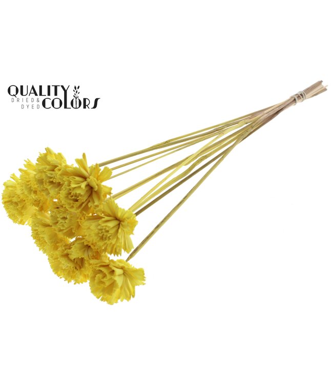 Shola Karnish Flower 6cm on stem Yellow ( x 50 )