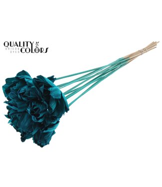 QC Shola Dear Holly 6cm on stem Turquoise ( x 50 )