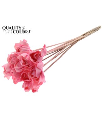QC Shola Dear Holly 6cm on stem Light Pink ( x 50 )