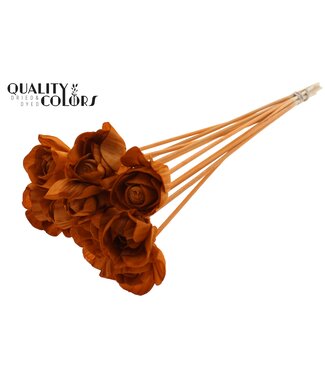 QC Shola Dear Holly 6cm on stem Terracotta ( x 50 )