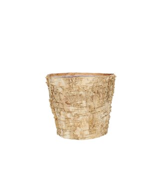 4A Hout Berk pot d14*12.5cm ( x 10 )