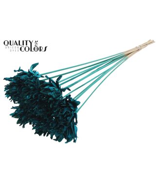 QC Shola Slice Pine 6cm on stem Turquoise | Per 50 stuks