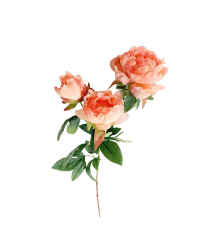 Kunstbloemen Paeonia 65cm ( x 6 )