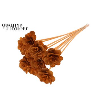 QC Beetal Rose 6cm on stem Terracotta | Per 50 stuks