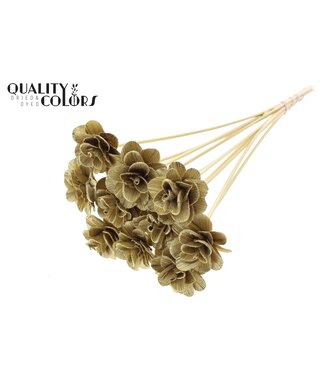 QC Beetal Rose 6cm on stem Gold ( x 50 )