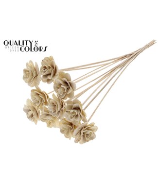 QC Beetal Rose 6cm on stem Natural | Per 50 stuks