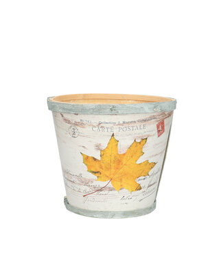 4A Hout Leaf pot d17*15cm ( x 10 )