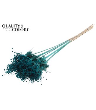 QC Mini Button Posy on stem Turquoise | Per 50 stuks