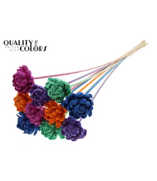 QC Shola New Beauty Rose 6cm on stem Neon Dusk ( x 50 )