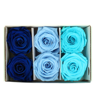 4A Rose bleue préservée | Roses préservées | Diamètre 6 centimètres | Par 6 pièces