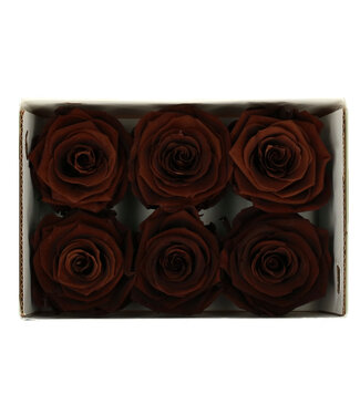 4A Rose brune préservée | Roses préservées | Diamètre 6 centimètres | Par 6 pièces
