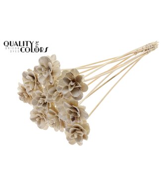 QC Beetal Rose 6cm on stem Wax White ( x 50 )
