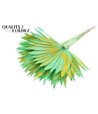 QC Getrocknetes Palmblatt | Palm Sun Spear Splashed Mint Gelb | Pro 50 Stück