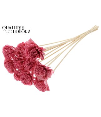 QC Shola Karnish Flower 6cm on stem Wax Light Pink | Per 50 stuks