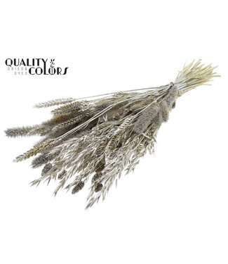 QC Dried Flower mix bunch Platina + Glitter ( x 6 )