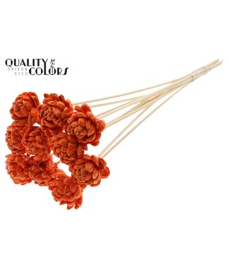 QC Shola New Beauty Rose 6cm on stem Wax Orange | Per 50 stuks
