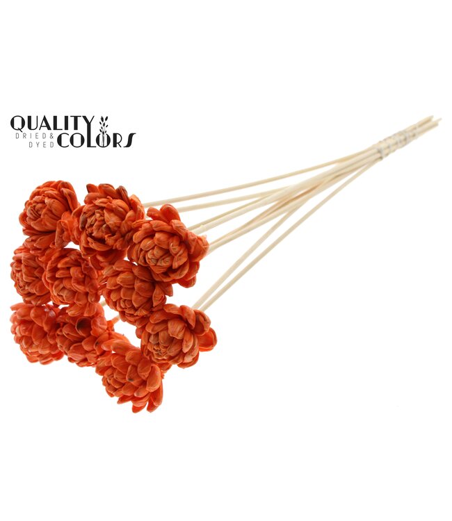 Shola New Beauty Rose 6cm on stem Wax Orange ( x 50 )