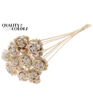 QC Shola New Beauty Rose 6cm on stem Wax White ( x 50 )