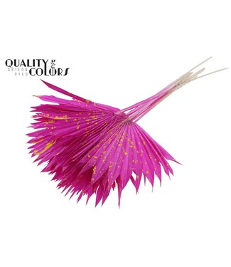 QC Feuille de Palmier Séchée | Lance de Soleil Palmier Éclaboussée Lilas Jaune | Par 50 pièces