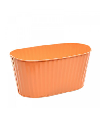 4A Zink Ferre bak 22*12*10cm ( x 10 )