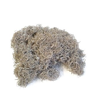 QC Curly moss 500gr in poly Frosted Grey | Per 4 stuks