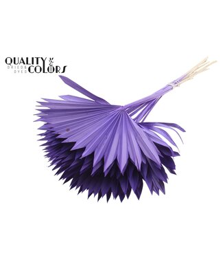 QC Gedrood Palmblad | Palm Sun Spear Paars | Per 50 stuks