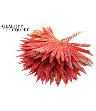 QC Getrocknetes Palmblatt | Palm Sun Spear Mix Rot | Pro 50 Stück